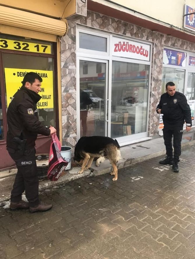 Polis Ve Jandarma Ekipleri Sokak Hayvanlarını Unutmadı