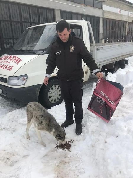 Polis Ve Jandarma Ekipleri Sokak Hayvanlarını Unutmadı