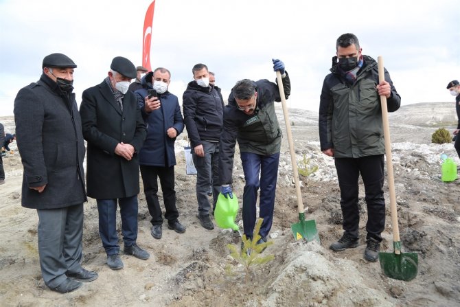 Kütahya’da 10 Yılda 16 Milyon Fidanı Toprakla Buluştu