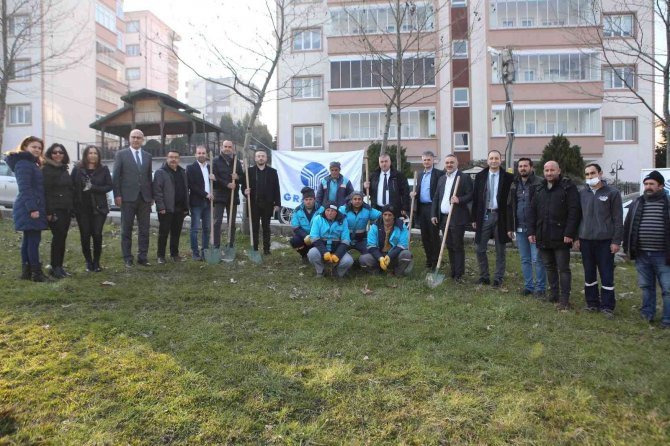 Fidanlar Toprakla Buluştu