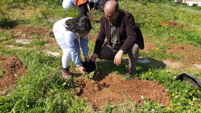Öğrenciler Datça’da 25 Adet Harnup Fidanı Dikti
