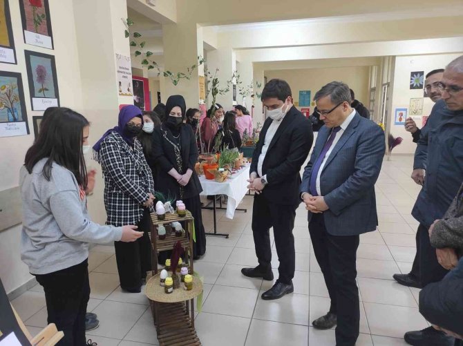 Şaphane’de ’Hekim Sinan’ Sergisi