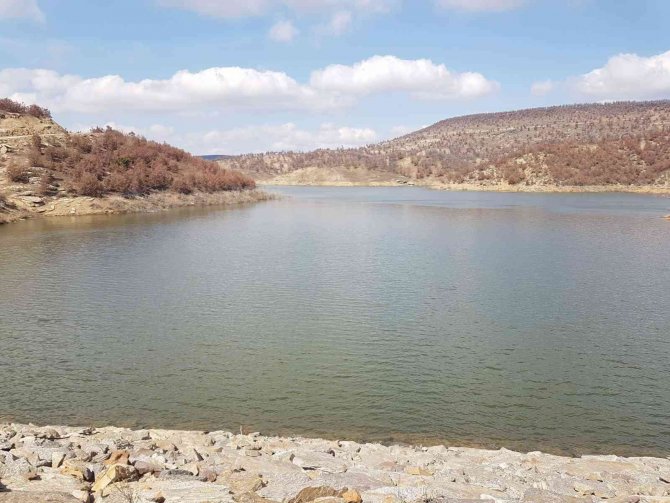 Şaphane’deki Göletlerde Kontrol Ve Denetim