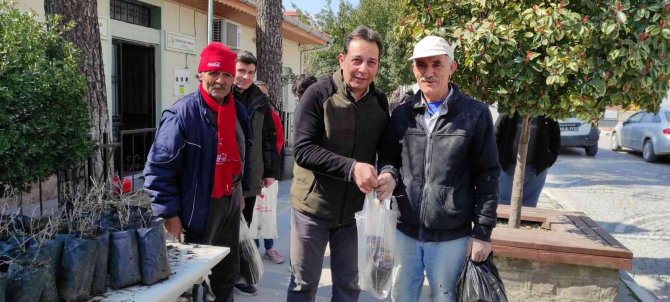 Selendili Üreticilere Hünnap Fidanı Dağıtıldı