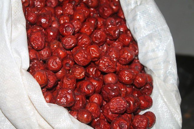 Selendili Üreticilere Hünnap Fidanı Dağıtıldı