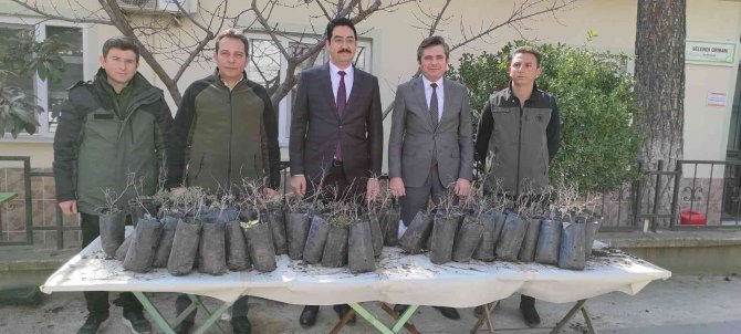 Selendili Üreticilere Hünnap Fidanı Dağıtıldı