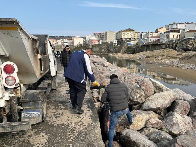 Sinop’ta Ölü Yunuslar Kıyıya Vurdu