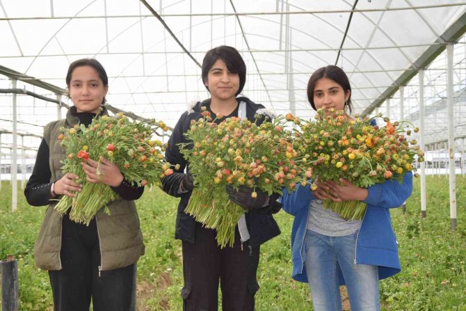 Meslek Lisesi Öğrencileri İçin Uygulamalı Tarım Protokolü