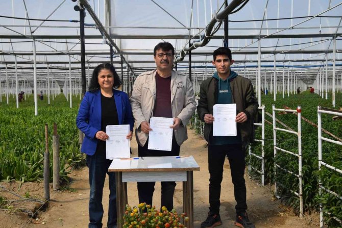 Meslek Lisesi Öğrencileri İçin Uygulamalı Tarım Protokolü