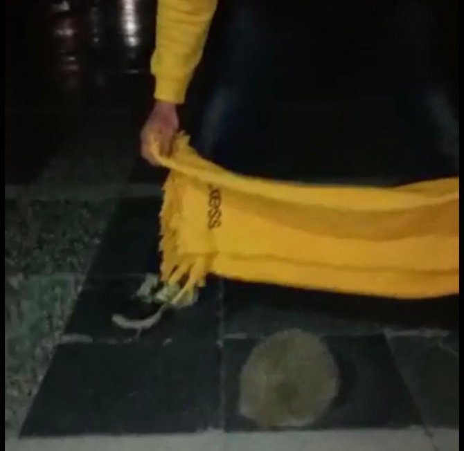 Bara Giren Kirpiyi Polisler Teslim Aldı