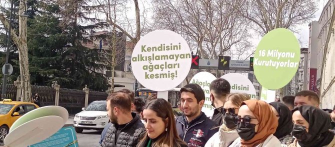 Mimari Ve Şehircilik Platformu’ndan İ̇bb’ye "Çınar Ağacı’ Tepkisi