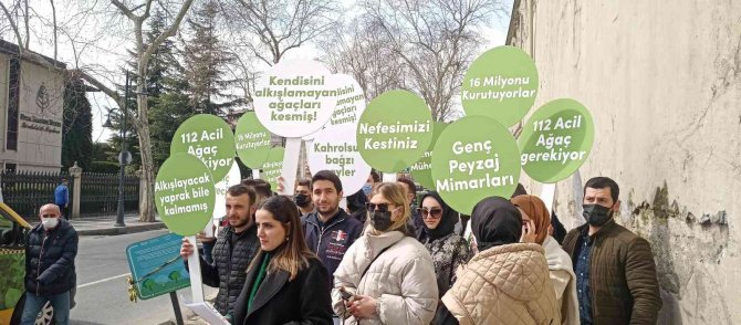 Mimari Ve Şehircilik Platformu’ndan İ̇bb’ye "Çınar Ağacı’ Tepkisi