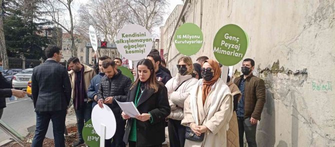 Mimari Ve Şehircilik Platformu’ndan İ̇bb’ye "Çınar Ağacı’ Tepkisi