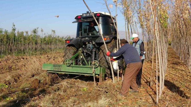 8 İlde 12 Milyon Fidan Toprakla Buluşacak