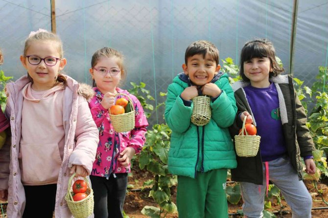 Minik Ellerin İlk Hasat Sevinci