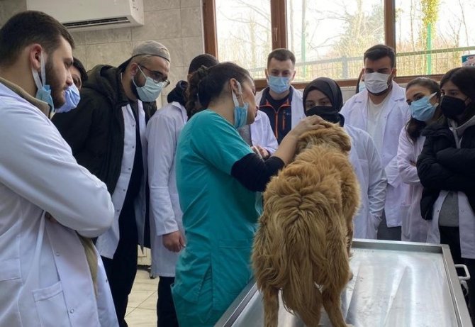 Rehabilitasyon Merkezinde Öğrenciler Ders Görecek