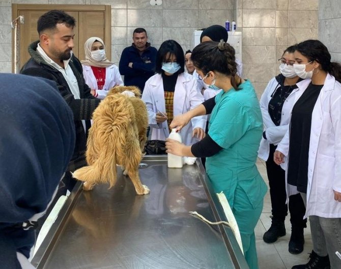 Rehabilitasyon Merkezinde Öğrenciler Ders Görecek