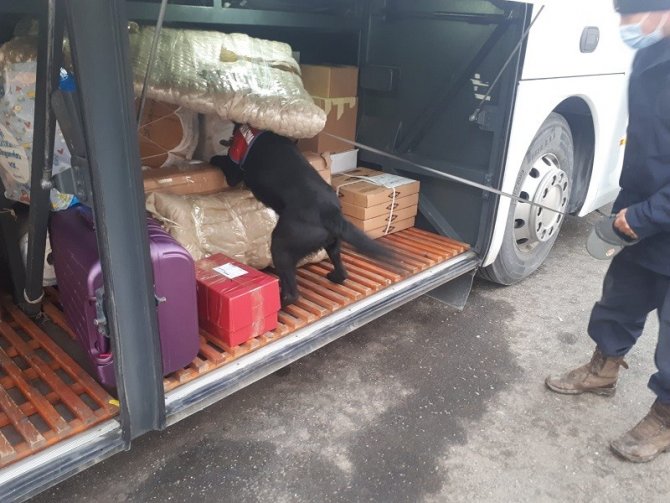 Yolcu Otobüsüyle Taşınan Kaçak Sigaralar Jandarma Ekiplerince Ele Geçirildi