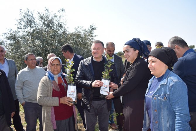 Hatay Büyükşehir Belediyesi’nden Üreticiye Destek