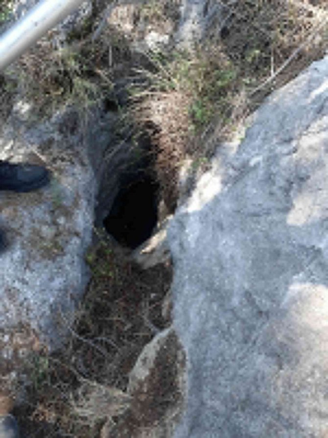 İ̇tfaiye’den Keçi Kurtarma Operasyonu