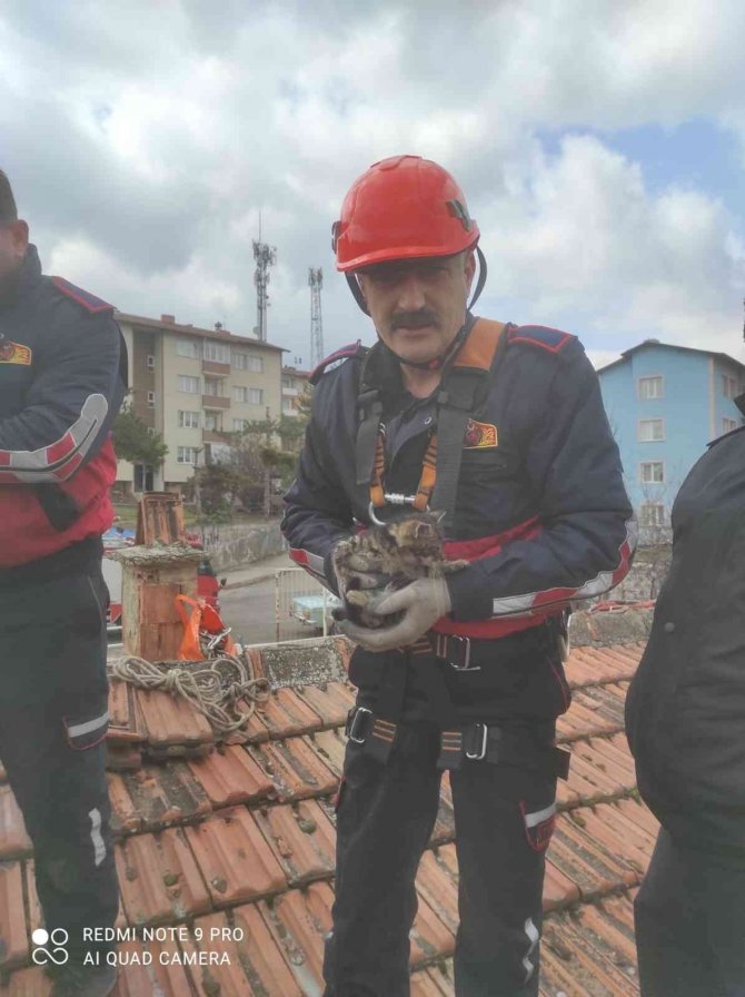 İ̇ki Gündür Havalandırma Boşluğunda Mahsur Kalan Kediyi İtfaiye Kurtardı