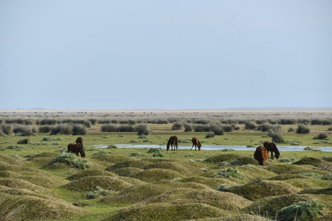 Vali Dağlı’dan Kuş Cenneti’ne Davet: 