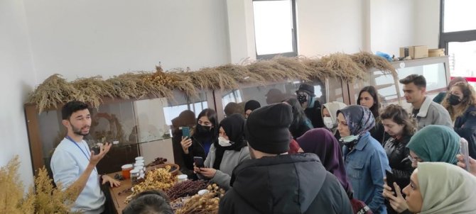 Koü Tıbbi Ve Aromatik Bölümü, Hersek Lagünü’nü İnceledi