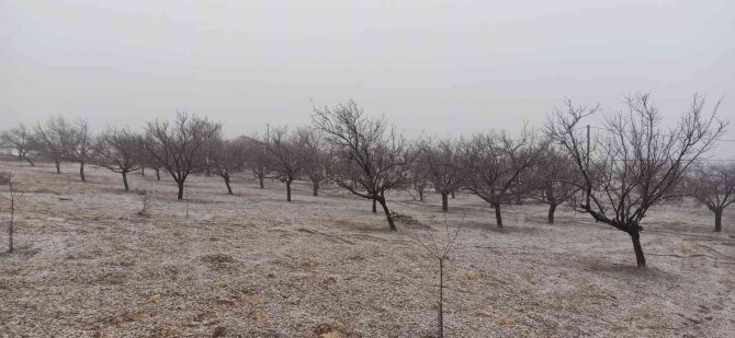 Kayısı Bahçesinde Çalışırken Kara Yakalandılar
