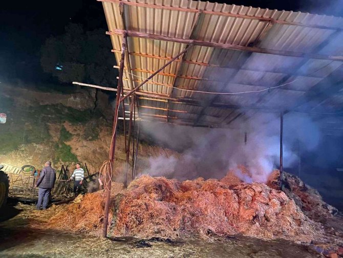Manisa’da Besi Çiftliğinde Yangın