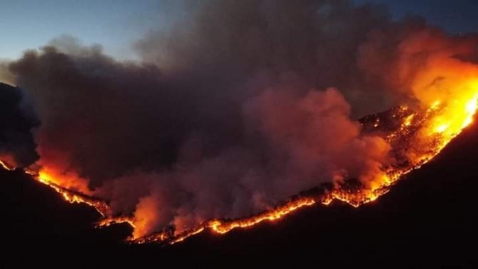Meksika’da 33 Ayrı Noktada Aktif Orman Yangını Bildirildi