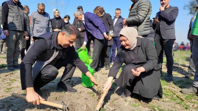 Tarsus Karabucak Okaliptüs Ormanı Ekoturizm Parkuru Açıldı