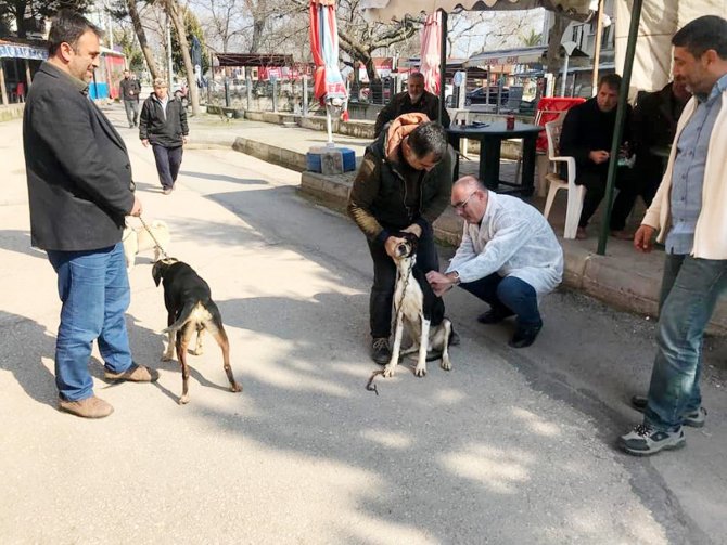 Mudanya’da Av Hayvanlarına Kimlik