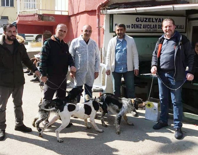 Mudanya’da Av Hayvanlarına Kimlik