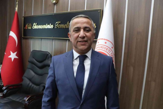 Samsun Zeytincilikte Küllerinden Doğuyor