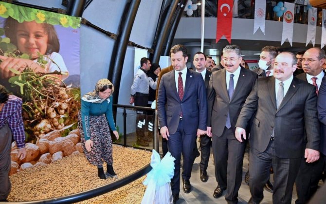 Bakan Varank, Osmaniye Fıstığı Müzesi’nin Açılışını Yaptı