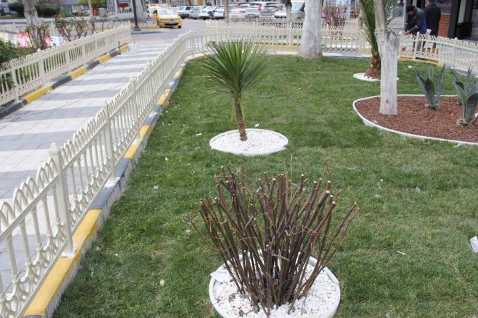 Soma Peyzaj Çalışmaları İle Güzelleşiyor
