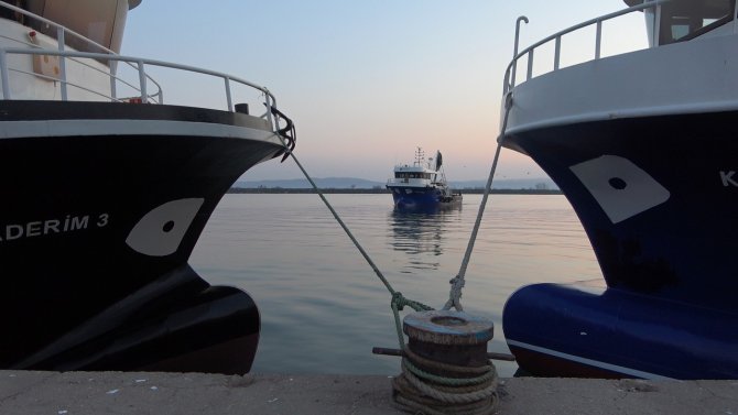 Balıkçılara Mayın Engeli: Karadeniz’deki Balıkçılar Limana Döndü