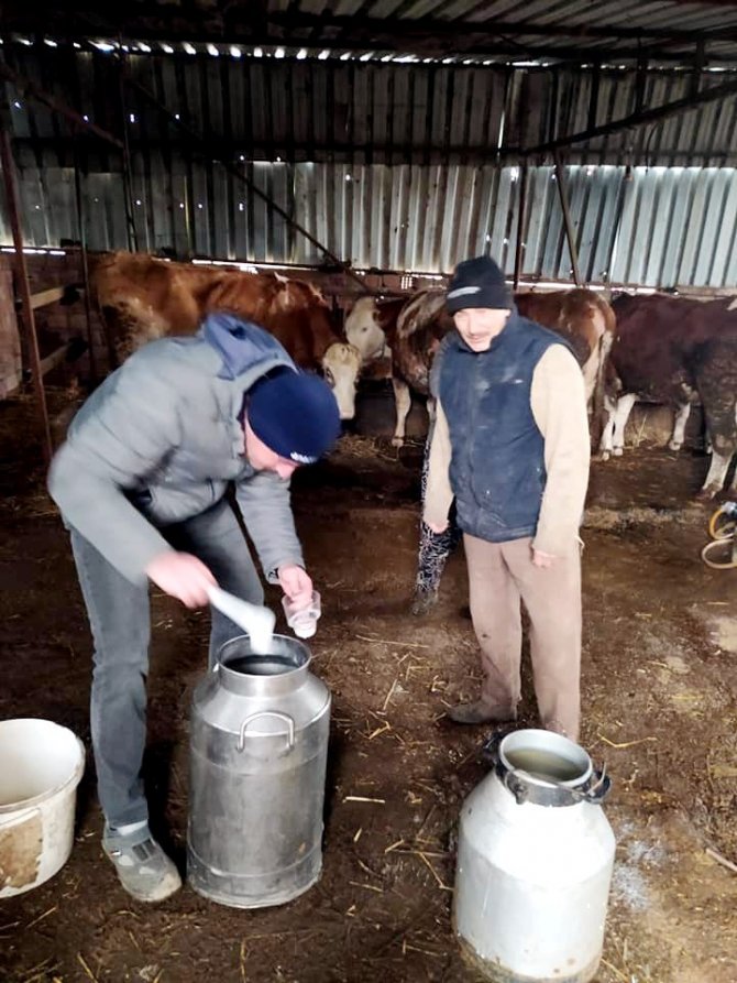 Çiğ Sütler Sınıflandırılıyor