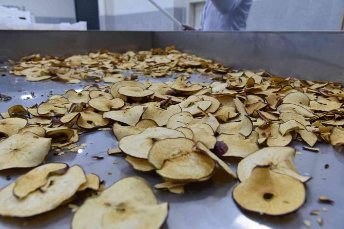 Sındırgı’nın Adı Jeotermalle Üretilen Sağlıklı Gıda İle Duyulacak