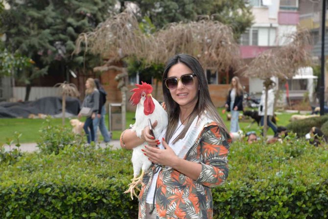 Adana’nın Horozu Da Kebap Yiyor