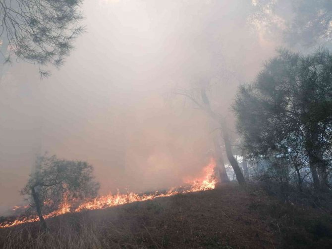 Manisa’da Orman Yangını Köylülerin De Yardımıyla Kontrol Altına Alındı