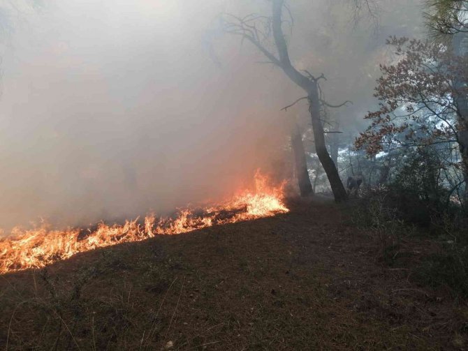 Manisa’da Orman Yangını Köylülerin De Yardımıyla Kontrol Altına Alındı