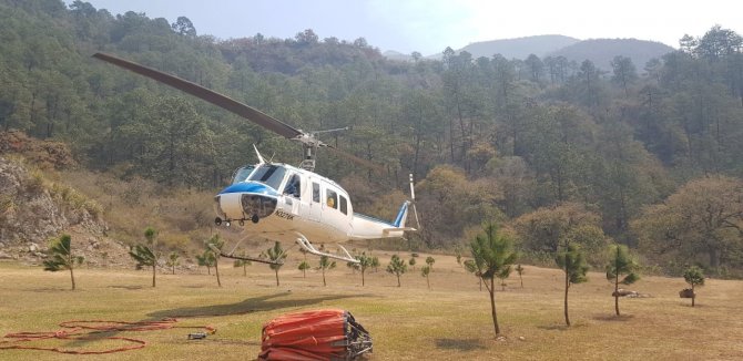 Meksika’da Son 24 Saatte 39 Orman Yangını