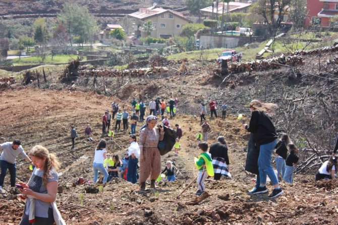 Denizlili Minikler Marmaris’te 500 Fidanı Toprakla Buluşturdu