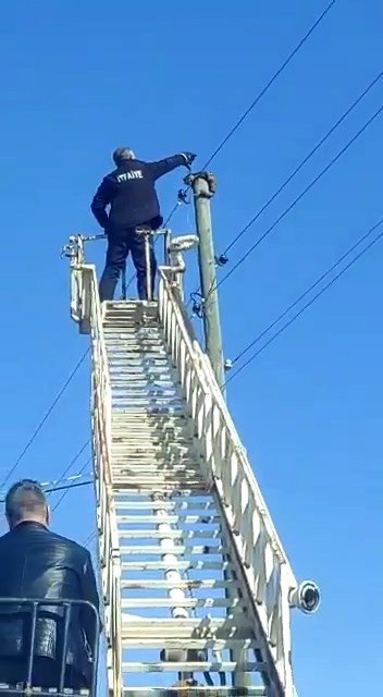 Elektrik Direğinde Mahsur Kalan Kedi Kurtarıldı