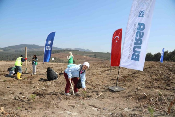 Kültür Başkenti Fidanları Toprakla Buluştu