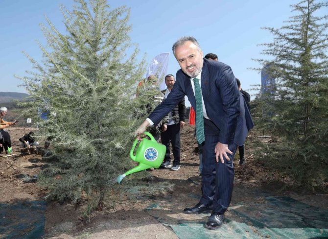 Kültür Başkenti Fidanları Toprakla Buluştu
