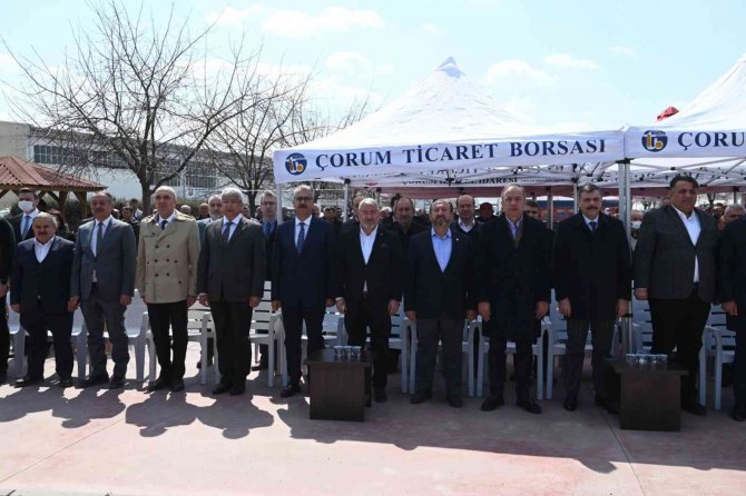 Çorum’da Süne İle Mücadele Çerçevesinde 7 Bin 300 Dut Fidanı Dağıtıldı