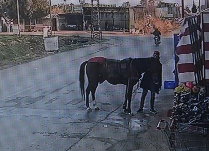 Antalya’da Hırsızın Çaldığı Atla Girdiği Markette Bu Kez 200 Bin Tl’lik Hırsızlık Şoku