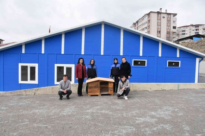 Lise Öğrenciler Can Dostları İçin Atıl Ürünlerden Köpek Kulübeleri Yaptı